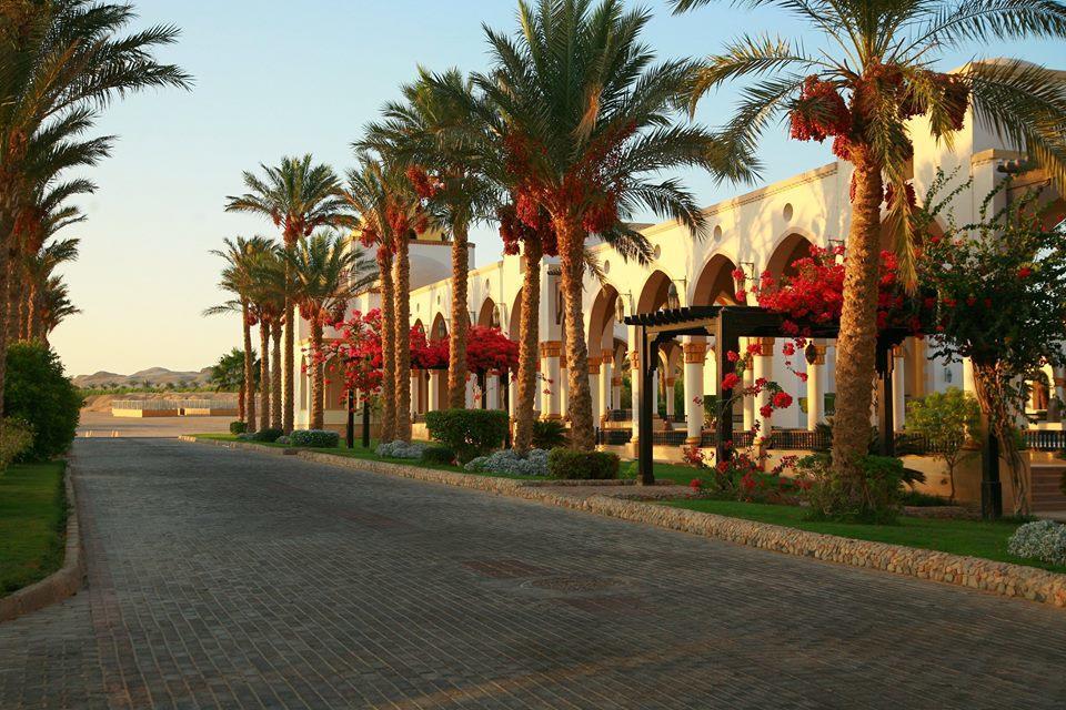 Apartmán Palm Piazza Sahl Hasheesh *